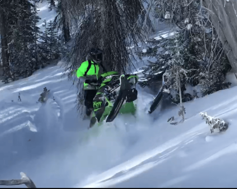 Private Full-Day Backcountry Snowmobile Tour in Heber City