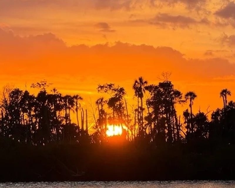 Crystal River Sunset Cruise with Lifelong Local Guide
