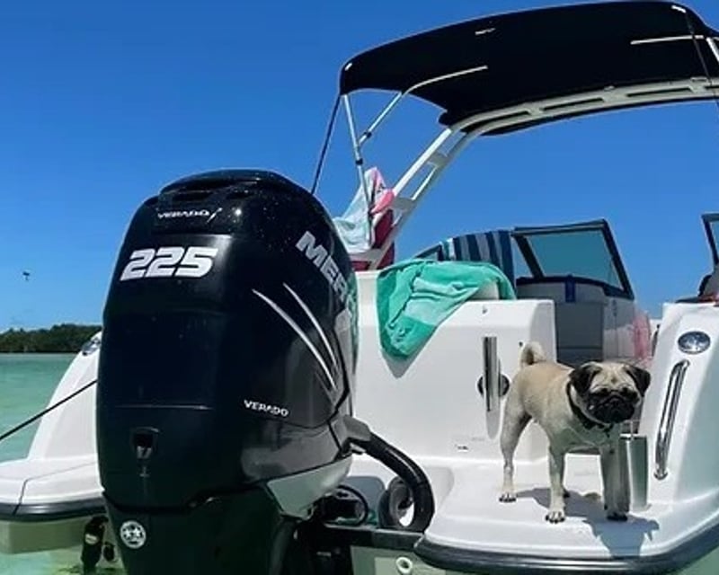 Private Captained Boat Charter in Key West