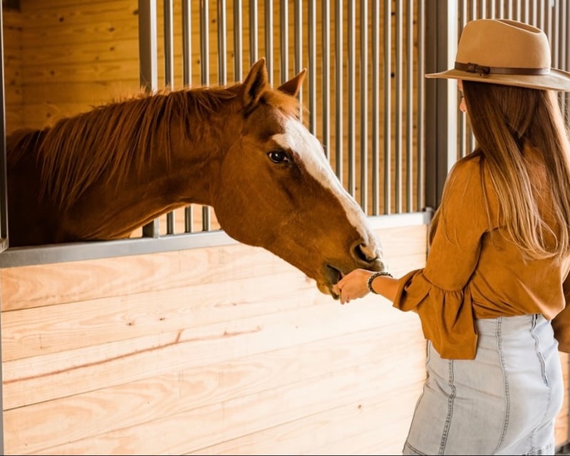 Wine Tasting & Charcuterie with Horses in Goodlettsville