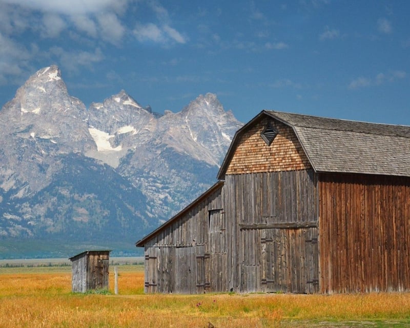 Private Winter Grand Teton Wildlife & Petroglyph Tour