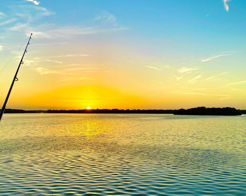 Inshore & Nearshore Fishing Charter in Clearwater Beach