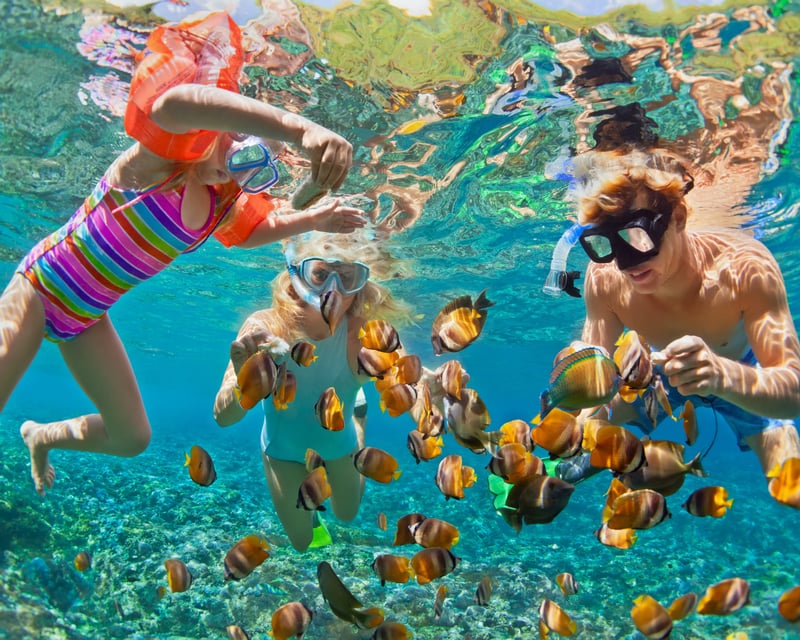 Explore CJ Reef Snorkeling Boat Trip From Fort Myers Beach
