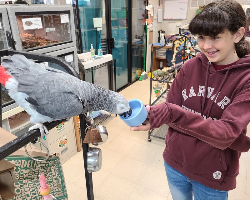 6-Hour Animal Care Camp in Rancho Santa Fe