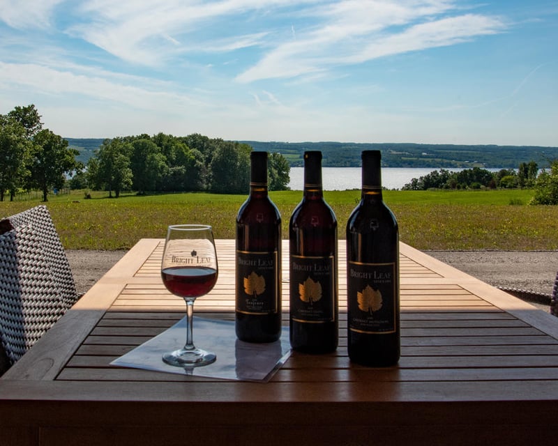Vineyard 4-Wine Tasting Flight in King Ferry, NY