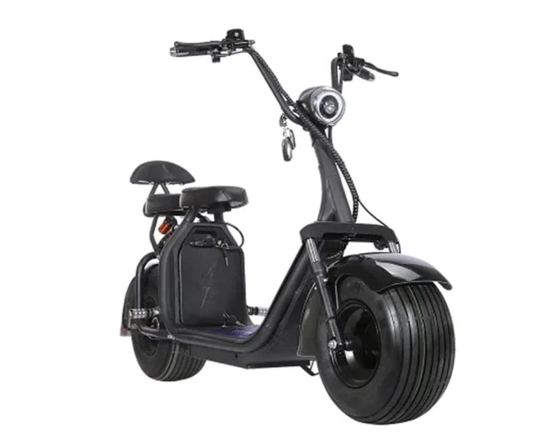 Fat Tire Electric Scooter Rental in Boston
