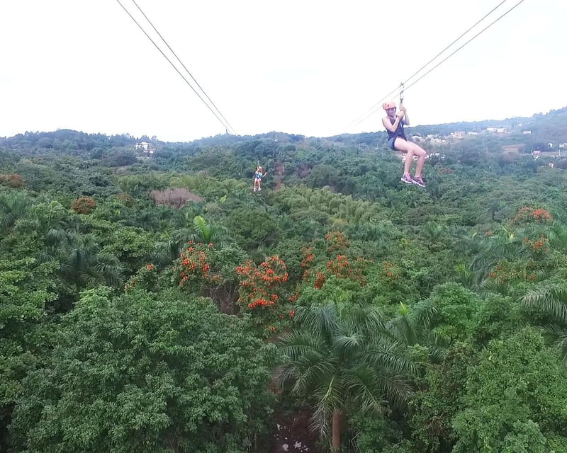 El Yunque Canopy Zipline Tour