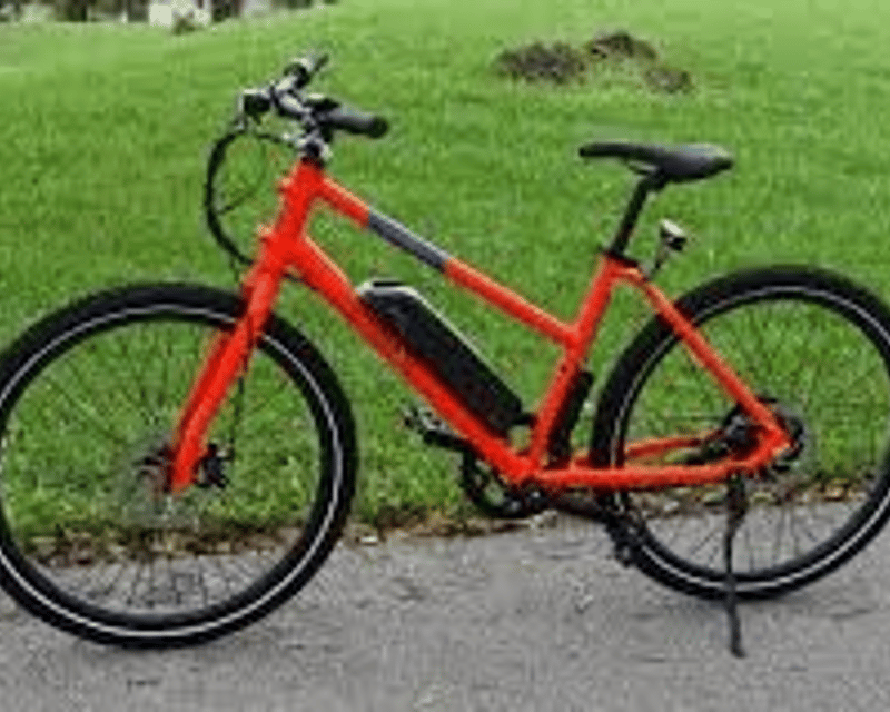 RadMission E-Bike Rental in Marco Island