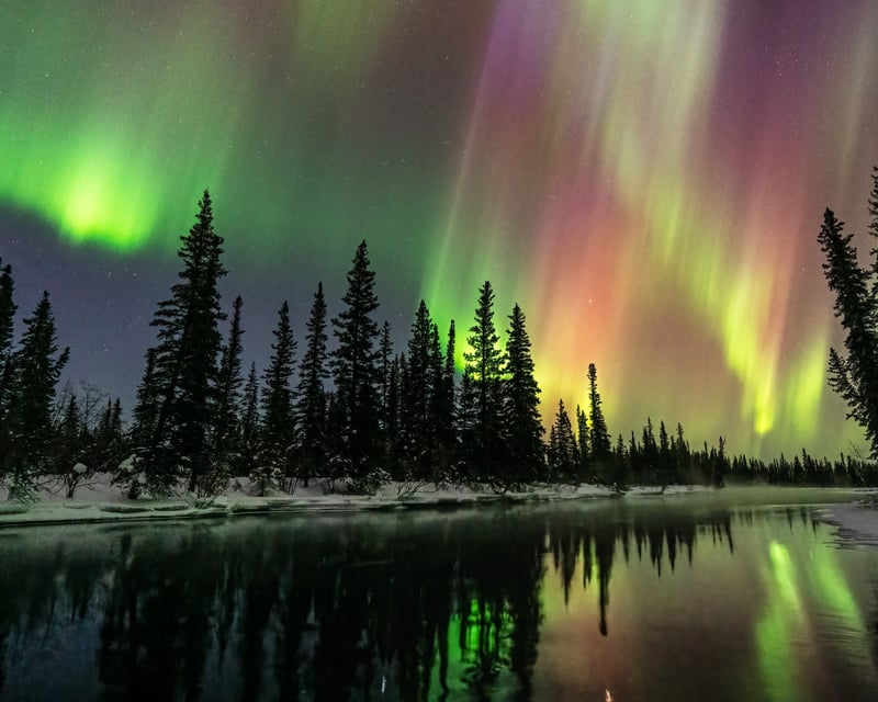 Private Northern Lights Photography Tour Near Fairbanks