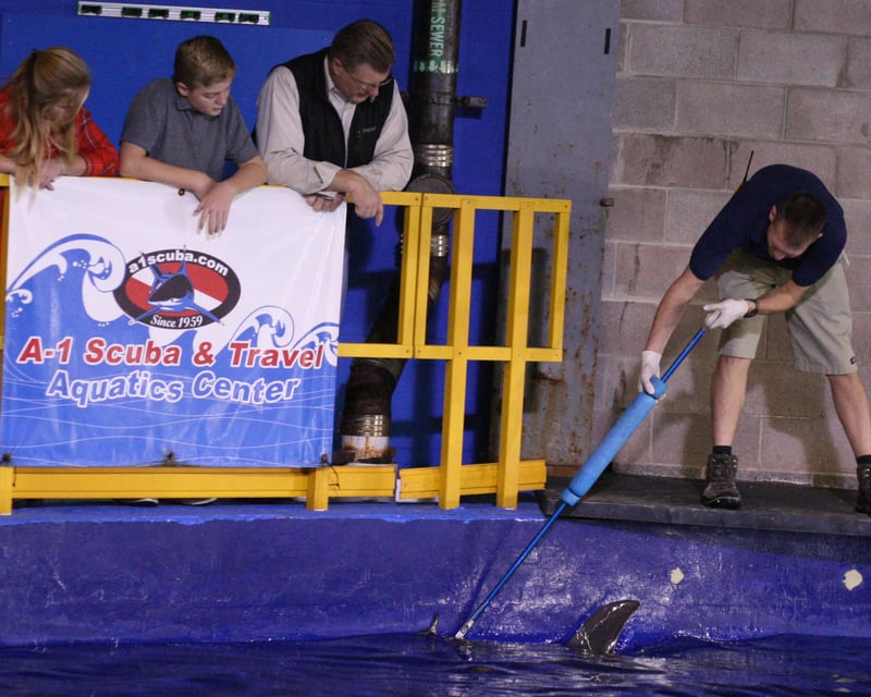 Private Shark Feeding at Downtown Aquarium Denver