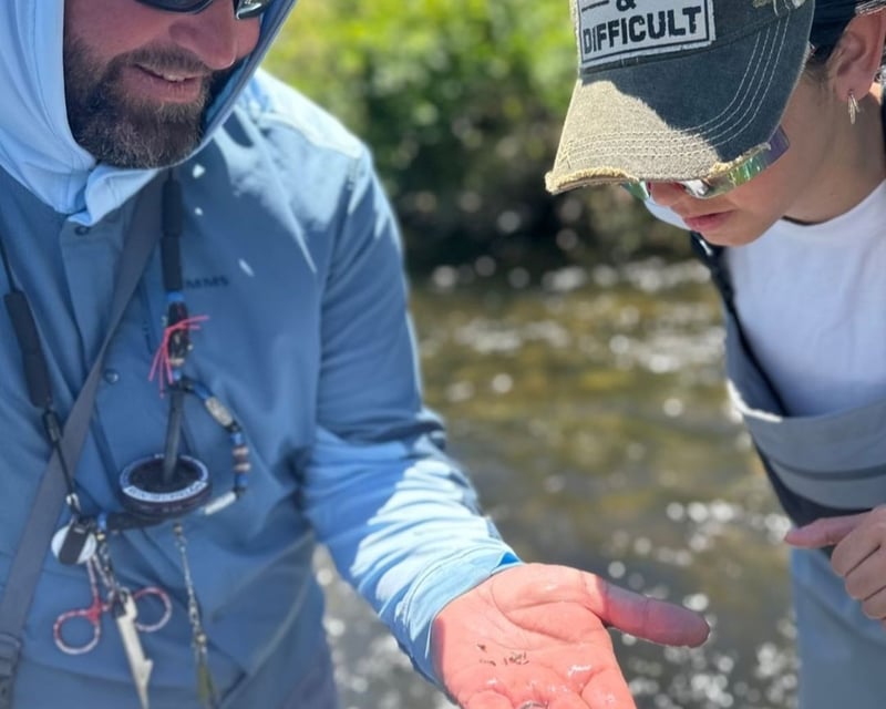 Full-Day Provo River Fly Fishing with Orvis-Endorsed Guide