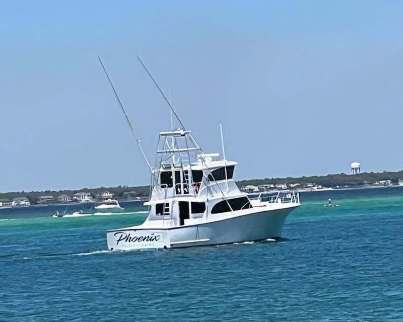 Destin Nearshore Shark Fishing Charter