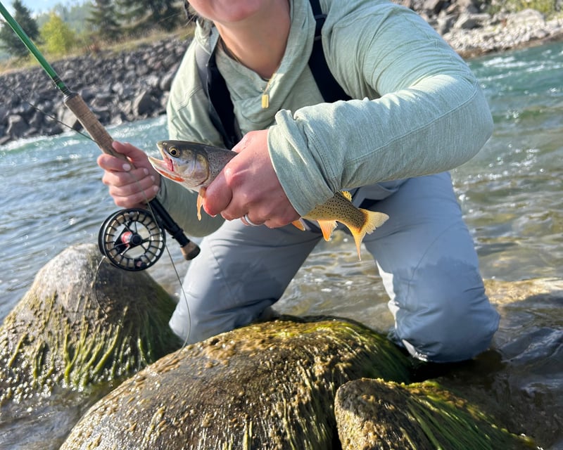 Half-Day Snake River Wade Fly Fishing in Jackson Hole