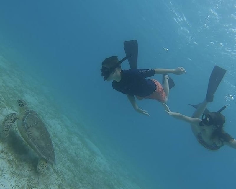 Sunset Snorkel Cruise with Sea Turtles in St. Thomas