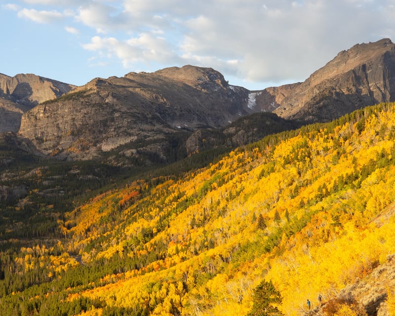 Guided Photography Tour in Rocky Mountain National Park