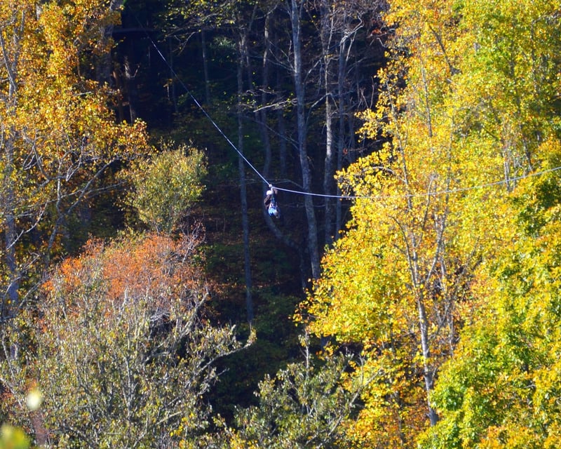 Mountaintop Zipline Tour in Scaly Mountain