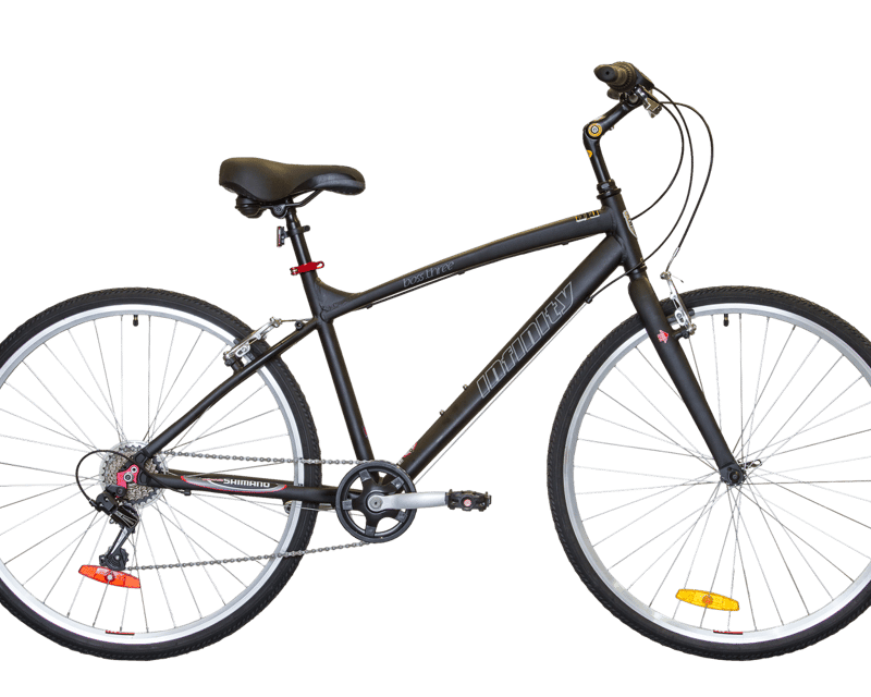 Union Pier Step-Over Bike Rental