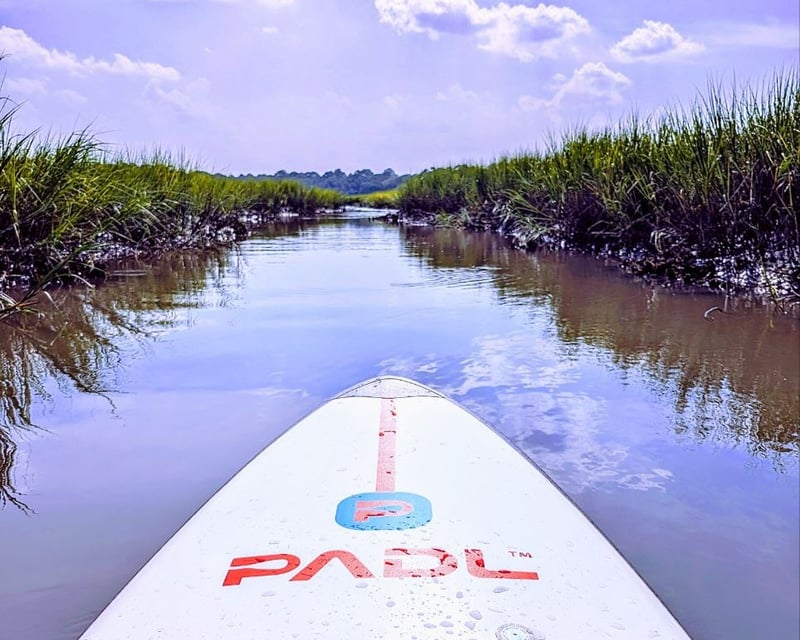 2-Hour Private Salt Marsh Paddle Near Talbot Islands