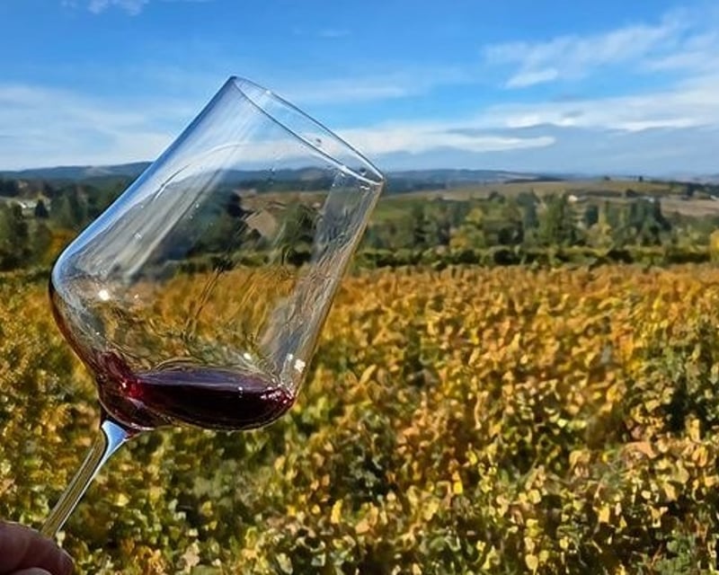 Custom Willamette Valley Wine Tour with Private Driver