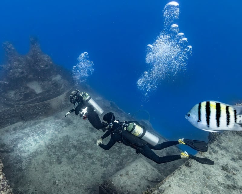 Private Scuba Diving Charter in Islamorada