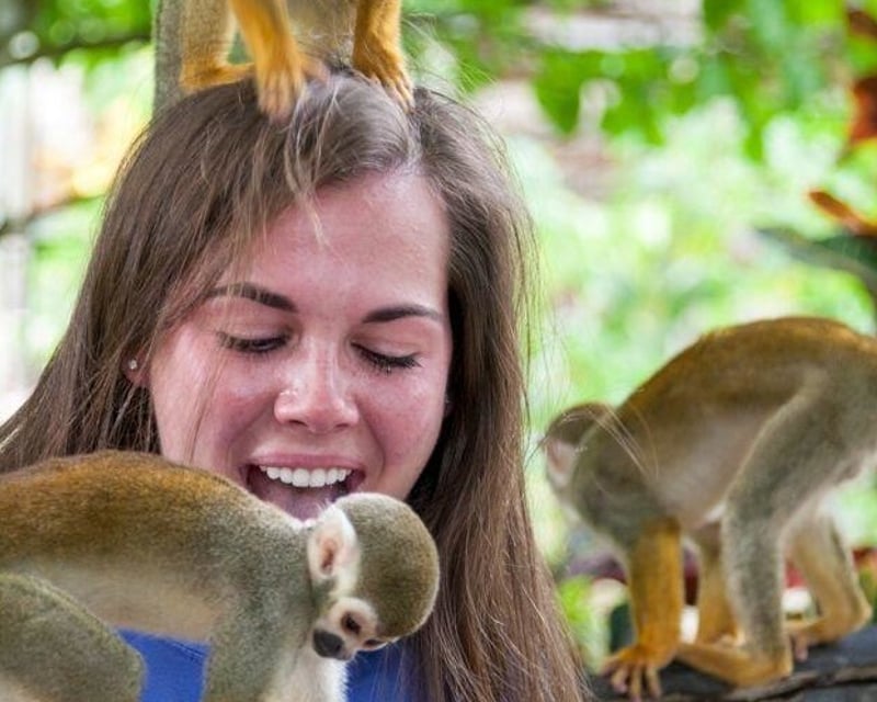 Monkeyland Adventure Tour in Punta Cana