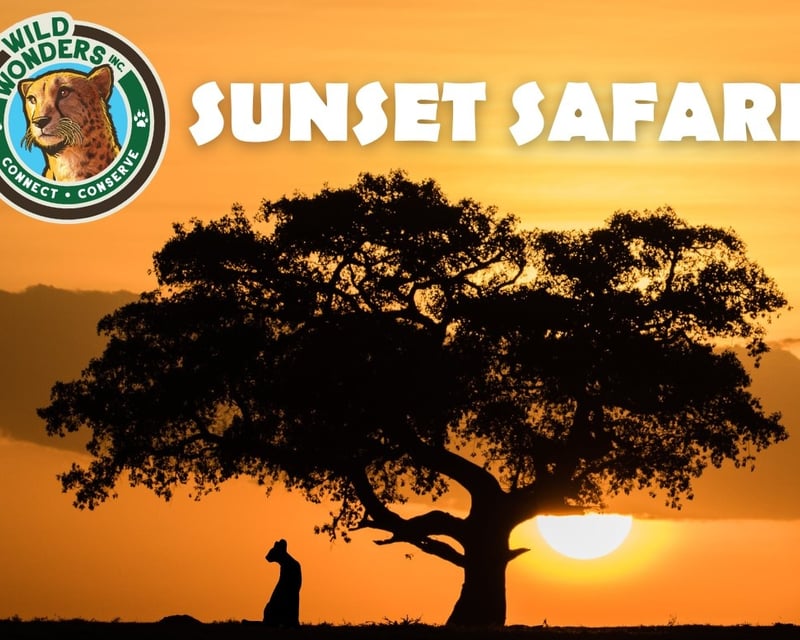 Sunset Animal Encounter in Bonsall