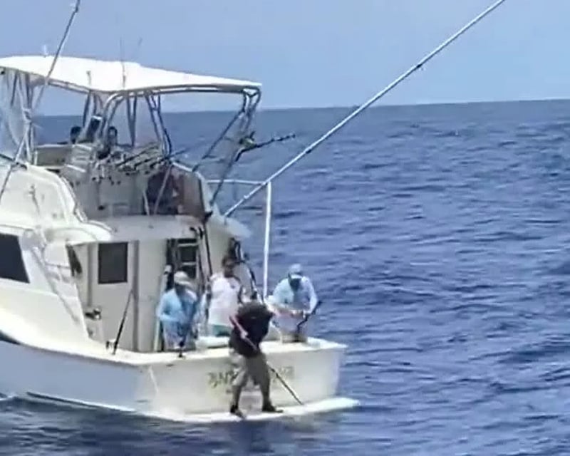 Deep Drop Fishing Charter for Swordfish in Marathon