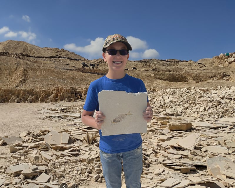 Dig for Fossils Near Kemmerer 2-Hour Safari