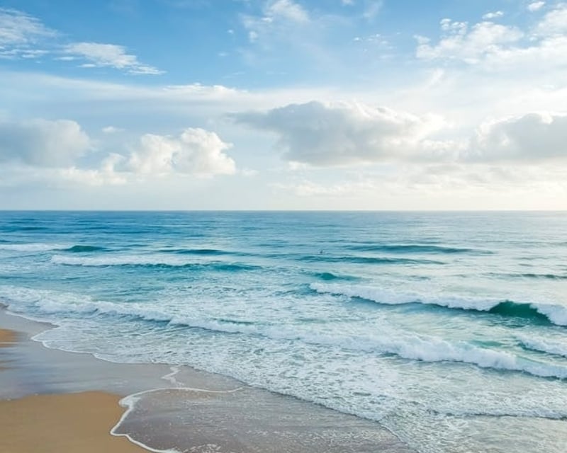 2-Hour Kayak & Paddleboard Rentals in Tierra Verde