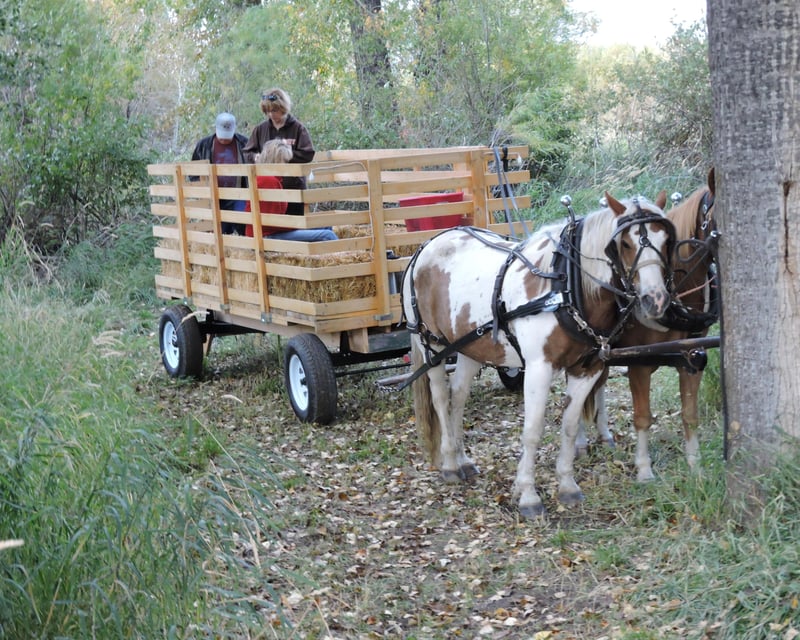 Horse-Drawn Hayride & Riverside Campfire in Bozeman