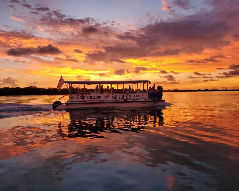 Sunset Dolphin Cruise in Bradenton Beach