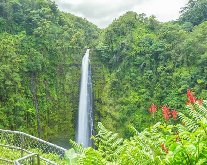 Hilo Sightseeing Tour with Akaka Falls & Rainbow Falls