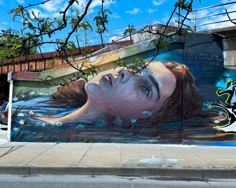 Explore Street Art & Murals in Chicago's Fulton Market