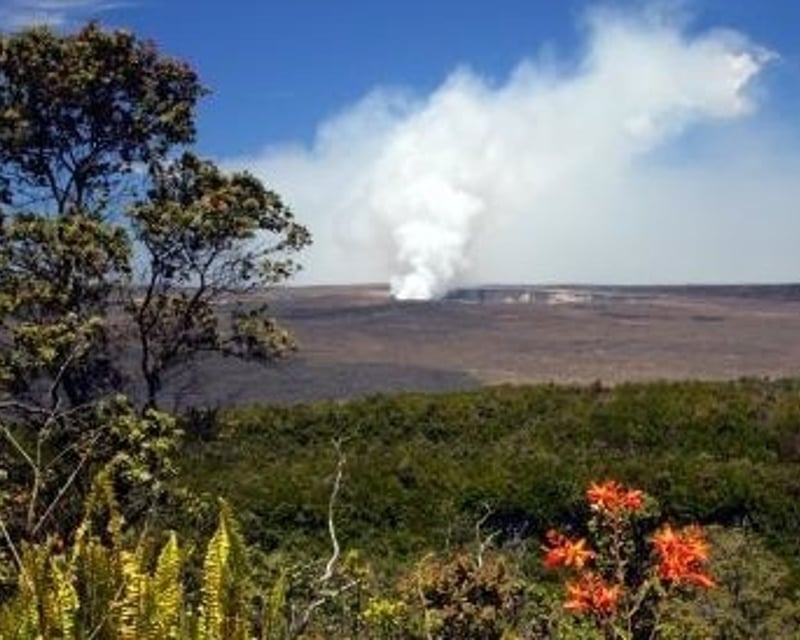 Hawaii Volcanoes National Park Day Tour from Hilo