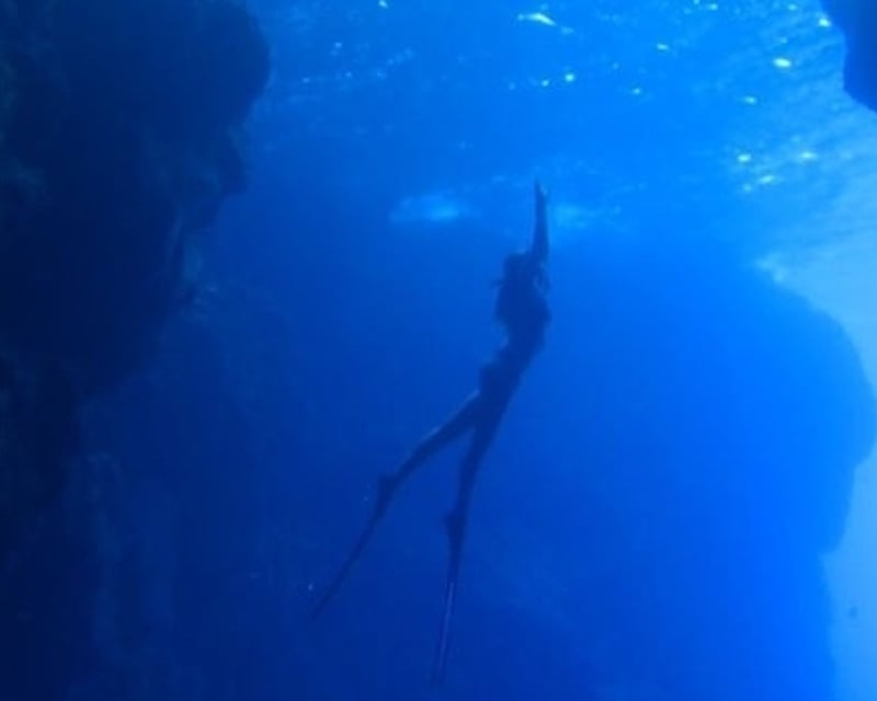 Afternoon Snorkel & Freedive Charter from Kawaihae