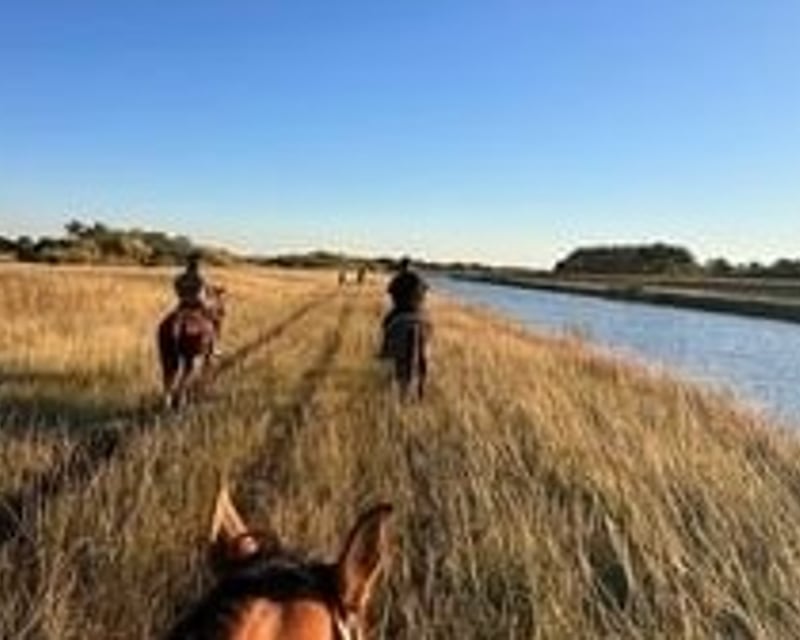 Guided 1-Hour Horse Trail Ride In Miami