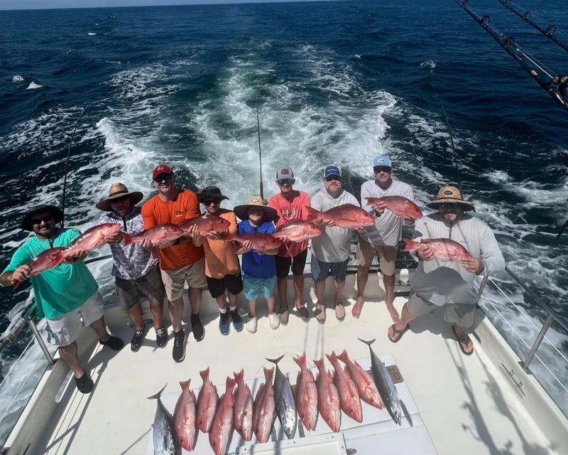 Orange Beach 3- to 12-Hour Fishing Charter