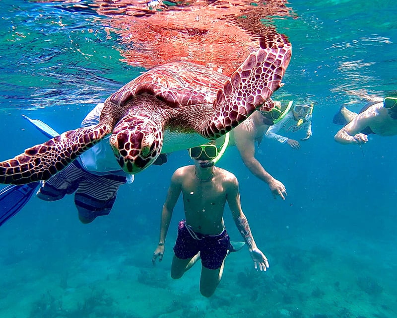 Private Snorkeling Charter in Vieques