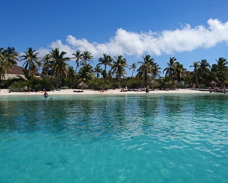Private Manchones Reef Snorkeling Charter