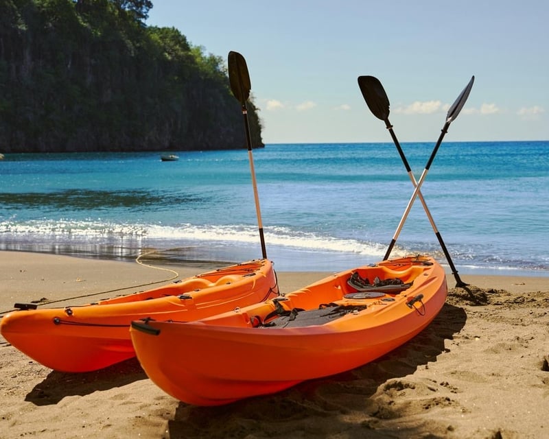 Guided Leeward Coast Kayak Tour in Saint Vincent