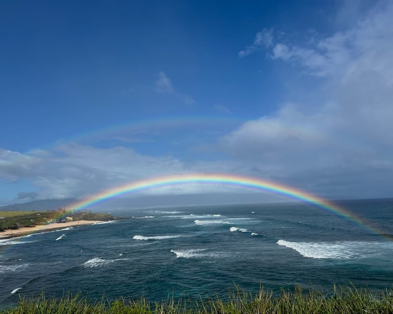 Road to Hāna Full-Day Tour with Native Hawaiian Guides