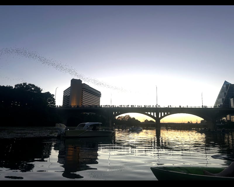 Lady Bird Lake Paddle Board Rental in Austin