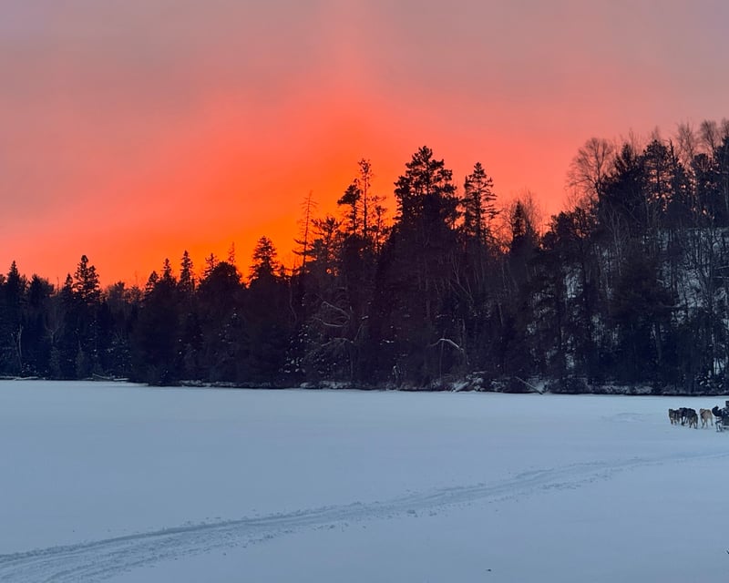 Half-Day Sunset Dogsledding Tour in Ely, MN