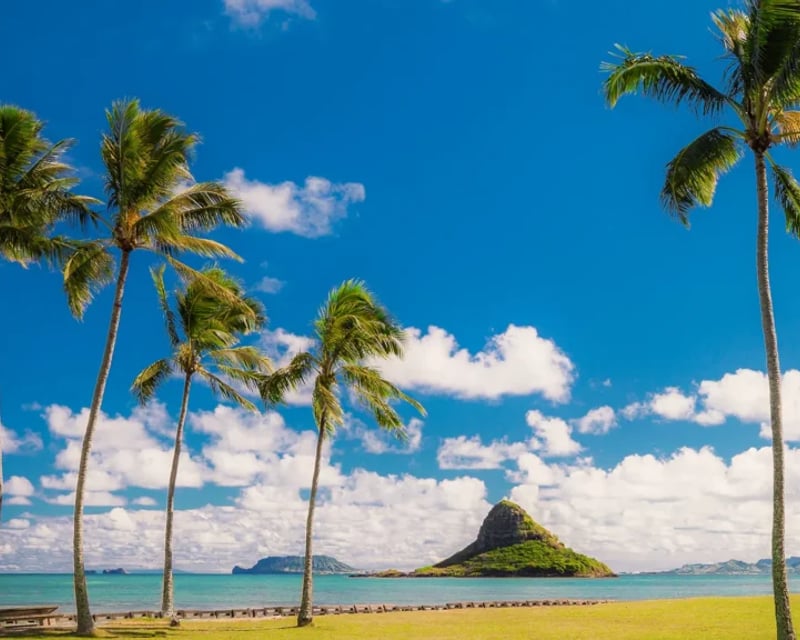 Pearl Harbor & Oahu Circle Island Tour from Waikiki