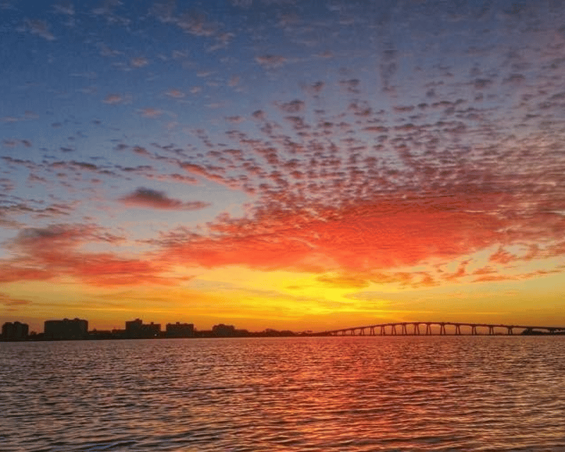 Sunset Dolphin & Wildlife Cruise in Fort Myers Beach