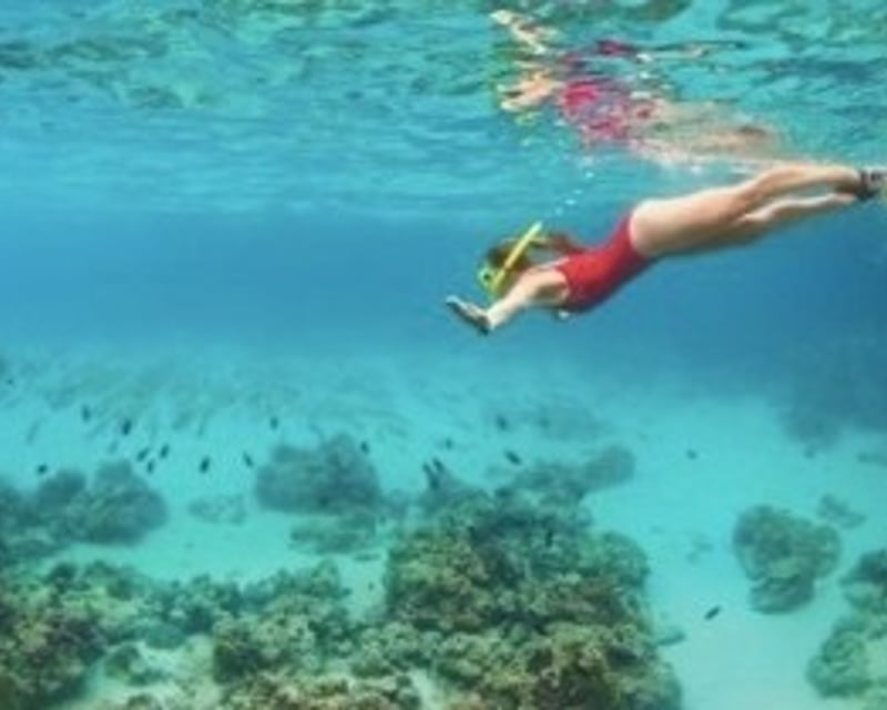 Cruise to Egmont Key State Park on a 4-Hour Tour