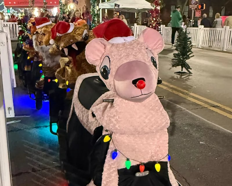Family Holiday Lights Scooter Tour in Arlington