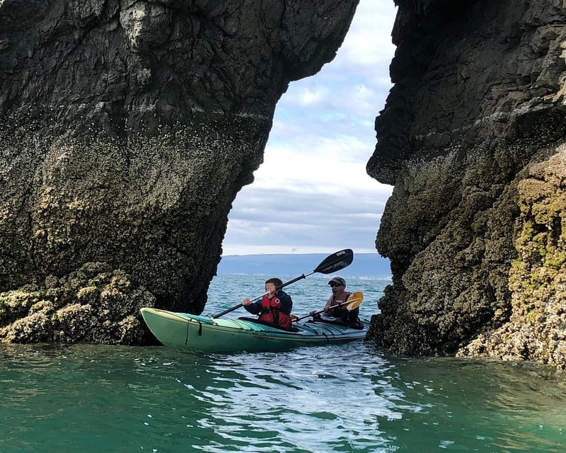 Halibut Cove Kayak Tour From Homer