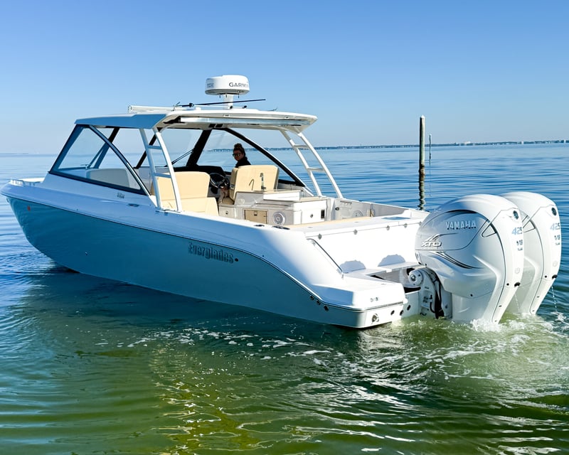 Cruise Destin Harbor on a Sunset Dolphin Charter