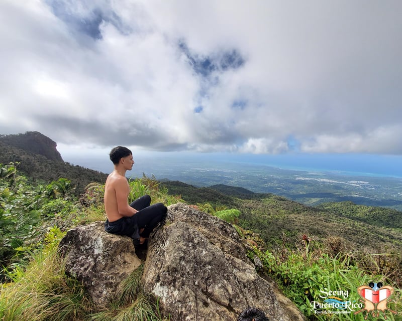 El Yunque Forest Bathing Hiking Tour